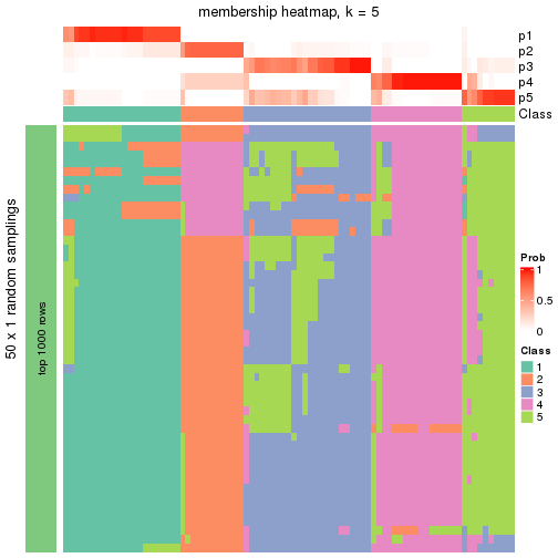 plot of chunk tab-node-02-membership-heatmap-4