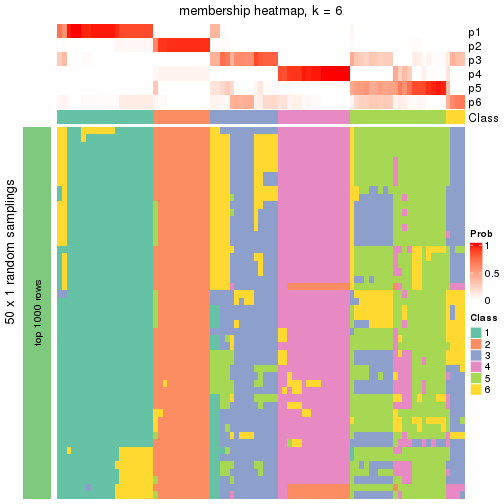 plot of chunk tab-node-02-membership-heatmap-5