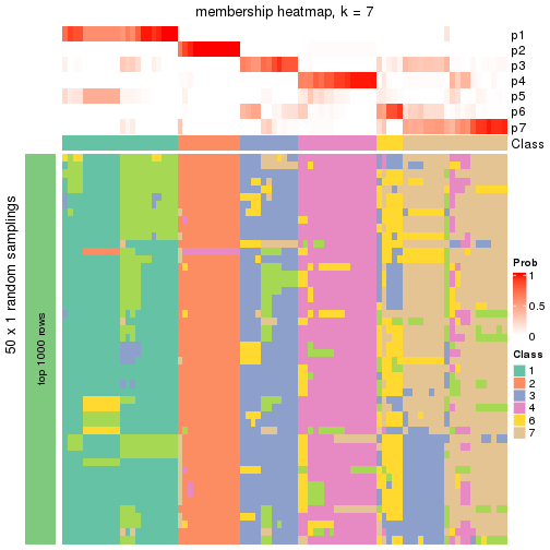 plot of chunk tab-node-02-membership-heatmap-6