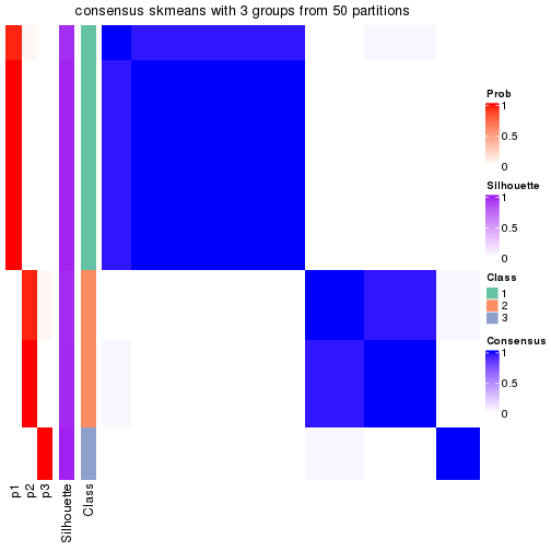 plot of chunk tab-node-022-consensus-heatmap-2