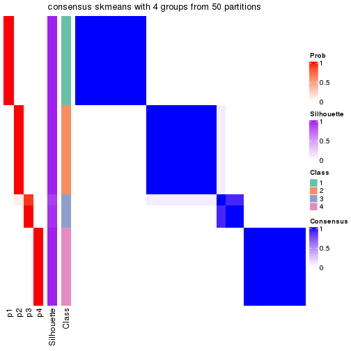 plot of chunk tab-node-022-consensus-heatmap-3