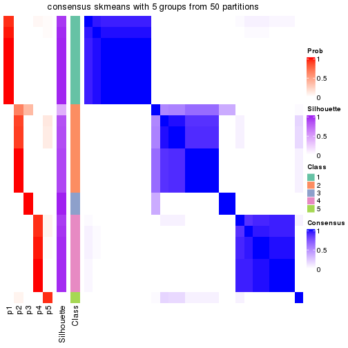 plot of chunk tab-node-022-consensus-heatmap-4