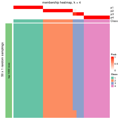 plot of chunk tab-node-022-membership-heatmap-3