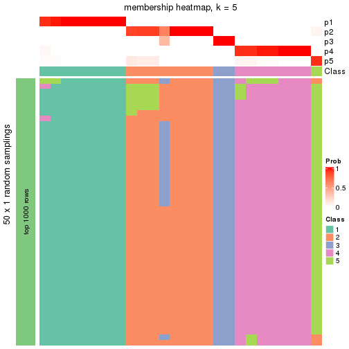 plot of chunk tab-node-022-membership-heatmap-4