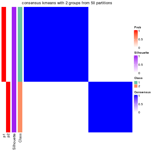 plot of chunk tab-node-023-consensus-heatmap-1