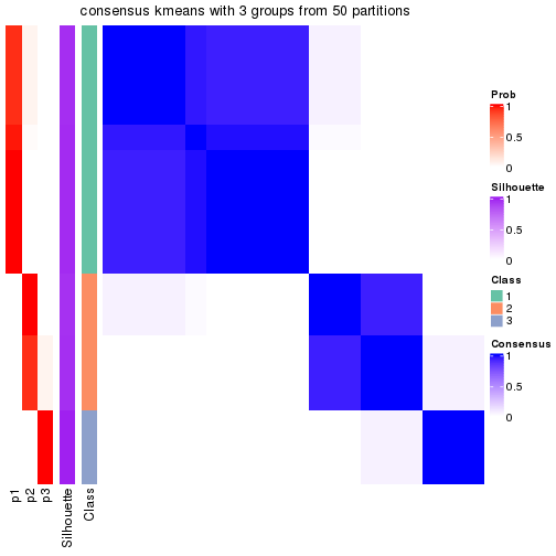 plot of chunk tab-node-023-consensus-heatmap-2