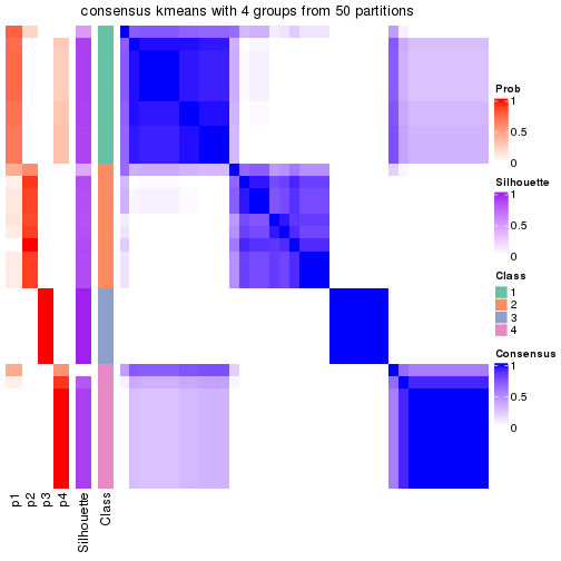 plot of chunk tab-node-023-consensus-heatmap-3