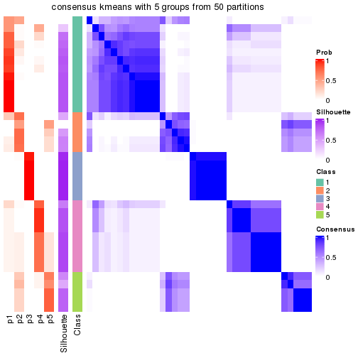 plot of chunk tab-node-023-consensus-heatmap-4