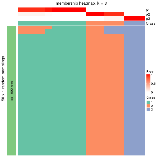 plot of chunk tab-node-023-membership-heatmap-2