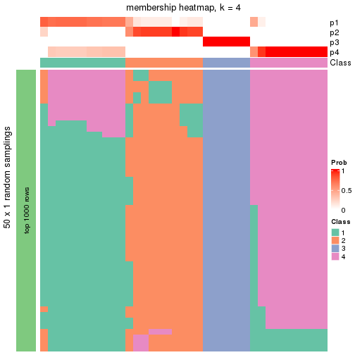 plot of chunk tab-node-023-membership-heatmap-3