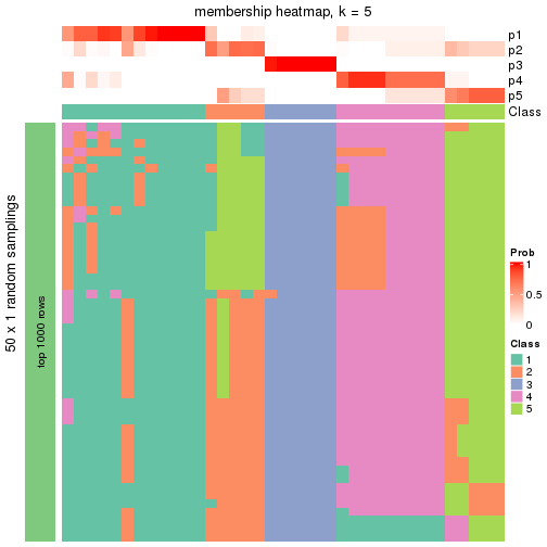 plot of chunk tab-node-023-membership-heatmap-4