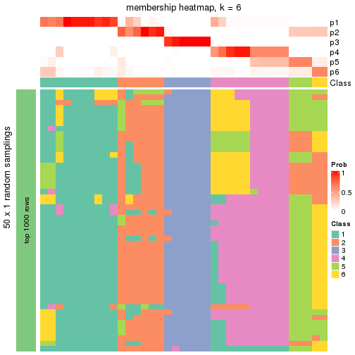 plot of chunk tab-node-023-membership-heatmap-5