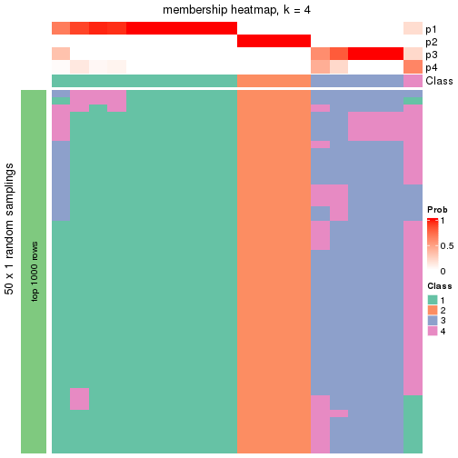 plot of chunk tab-node-0231-membership-heatmap-3