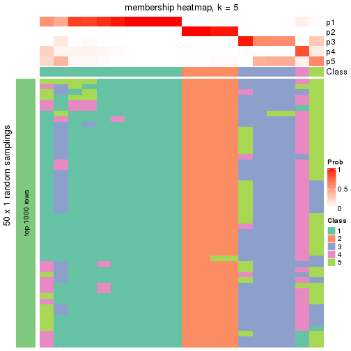 plot of chunk tab-node-0231-membership-heatmap-4