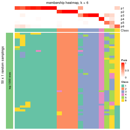 plot of chunk tab-node-0231-membership-heatmap-5