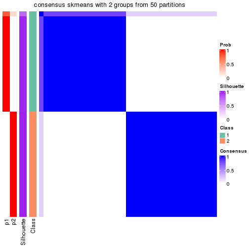 plot of chunk tab-node-03-consensus-heatmap-1