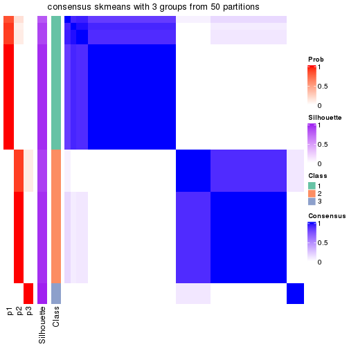 plot of chunk tab-node-03-consensus-heatmap-2