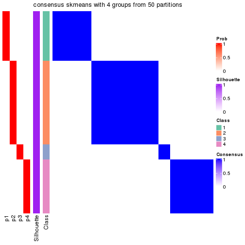 plot of chunk tab-node-03-consensus-heatmap-3