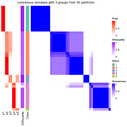 plot of chunk tab-node-03-consensus-heatmap-4