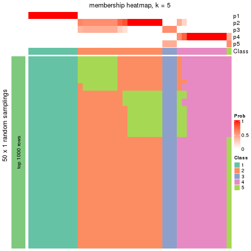 plot of chunk tab-node-03-membership-heatmap-4