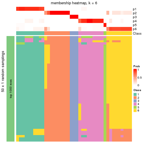 plot of chunk tab-node-03-membership-heatmap-5