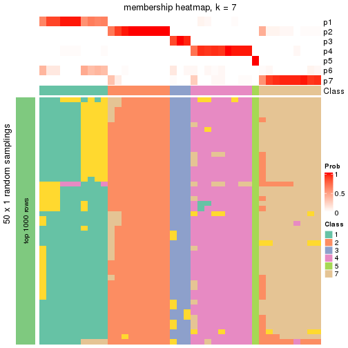 plot of chunk tab-node-03-membership-heatmap-6