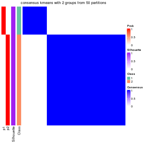 plot of chunk tab-node-032-consensus-heatmap-1