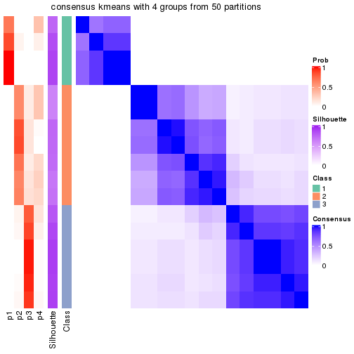 plot of chunk tab-node-032-consensus-heatmap-3