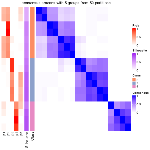 plot of chunk tab-node-032-consensus-heatmap-4