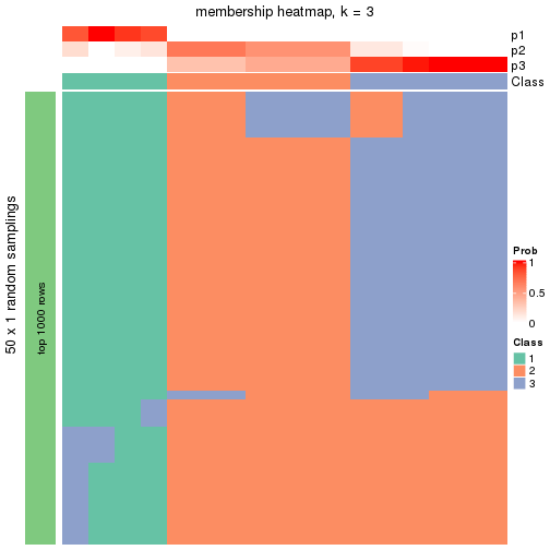 plot of chunk tab-node-032-membership-heatmap-2