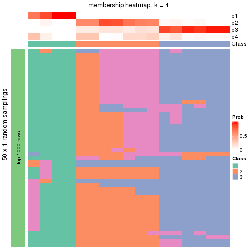 plot of chunk tab-node-032-membership-heatmap-3