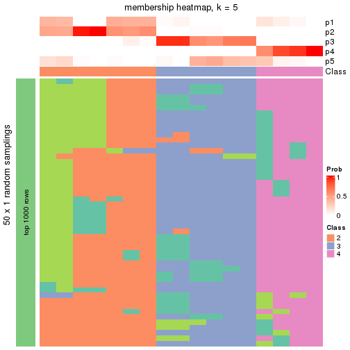 plot of chunk tab-node-032-membership-heatmap-4