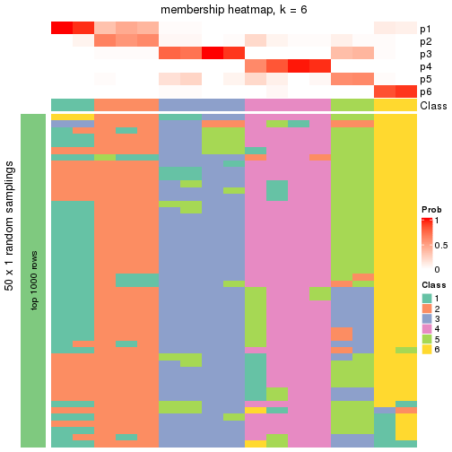 plot of chunk tab-node-032-membership-heatmap-5