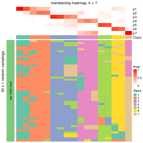 plot of chunk tab-node-032-membership-heatmap-6