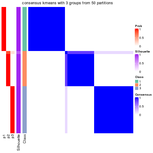 plot of chunk tab-node-04-consensus-heatmap-2