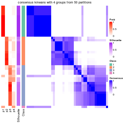 plot of chunk tab-node-04-consensus-heatmap-3