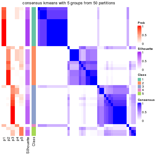 plot of chunk tab-node-04-consensus-heatmap-4