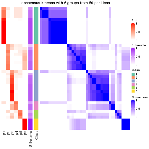 plot of chunk tab-node-04-consensus-heatmap-5