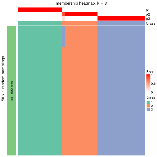 plot of chunk tab-node-04-membership-heatmap-2