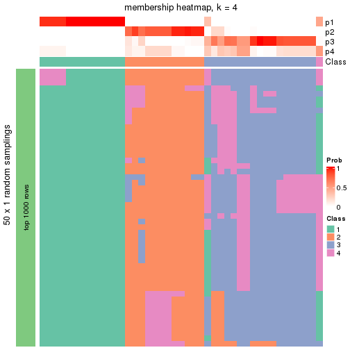 plot of chunk tab-node-04-membership-heatmap-3