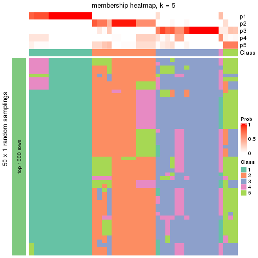 plot of chunk tab-node-04-membership-heatmap-4