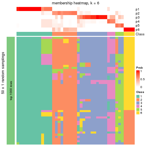 plot of chunk tab-node-04-membership-heatmap-5