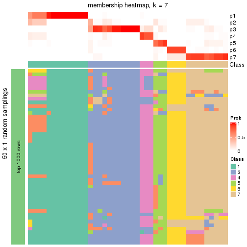 plot of chunk tab-node-04-membership-heatmap-6