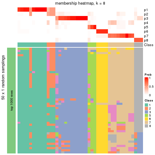 plot of chunk tab-node-04-membership-heatmap-7