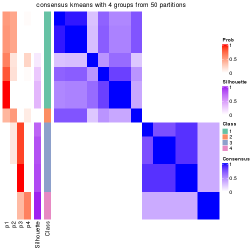 plot of chunk tab-node-041-consensus-heatmap-3