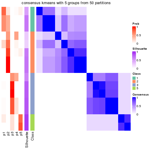 plot of chunk tab-node-041-consensus-heatmap-4