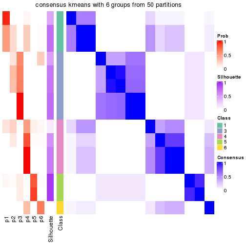 plot of chunk tab-node-041-consensus-heatmap-5