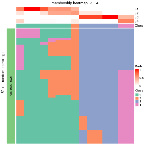 plot of chunk tab-node-041-membership-heatmap-3