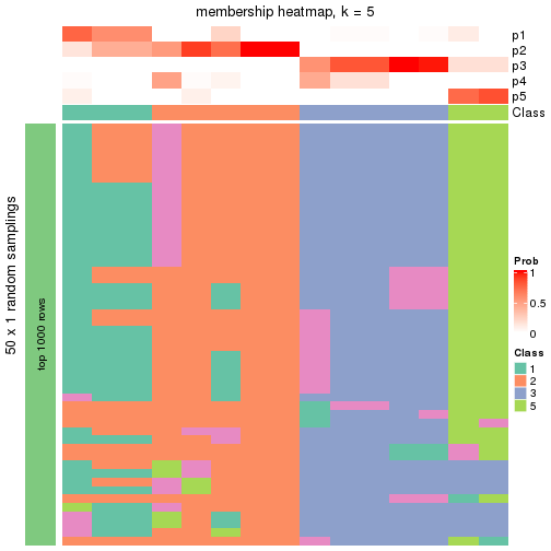 plot of chunk tab-node-041-membership-heatmap-4