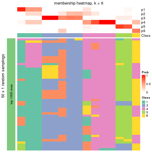 plot of chunk tab-node-041-membership-heatmap-5